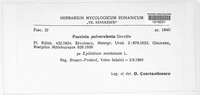Puccinia pulverulenta image